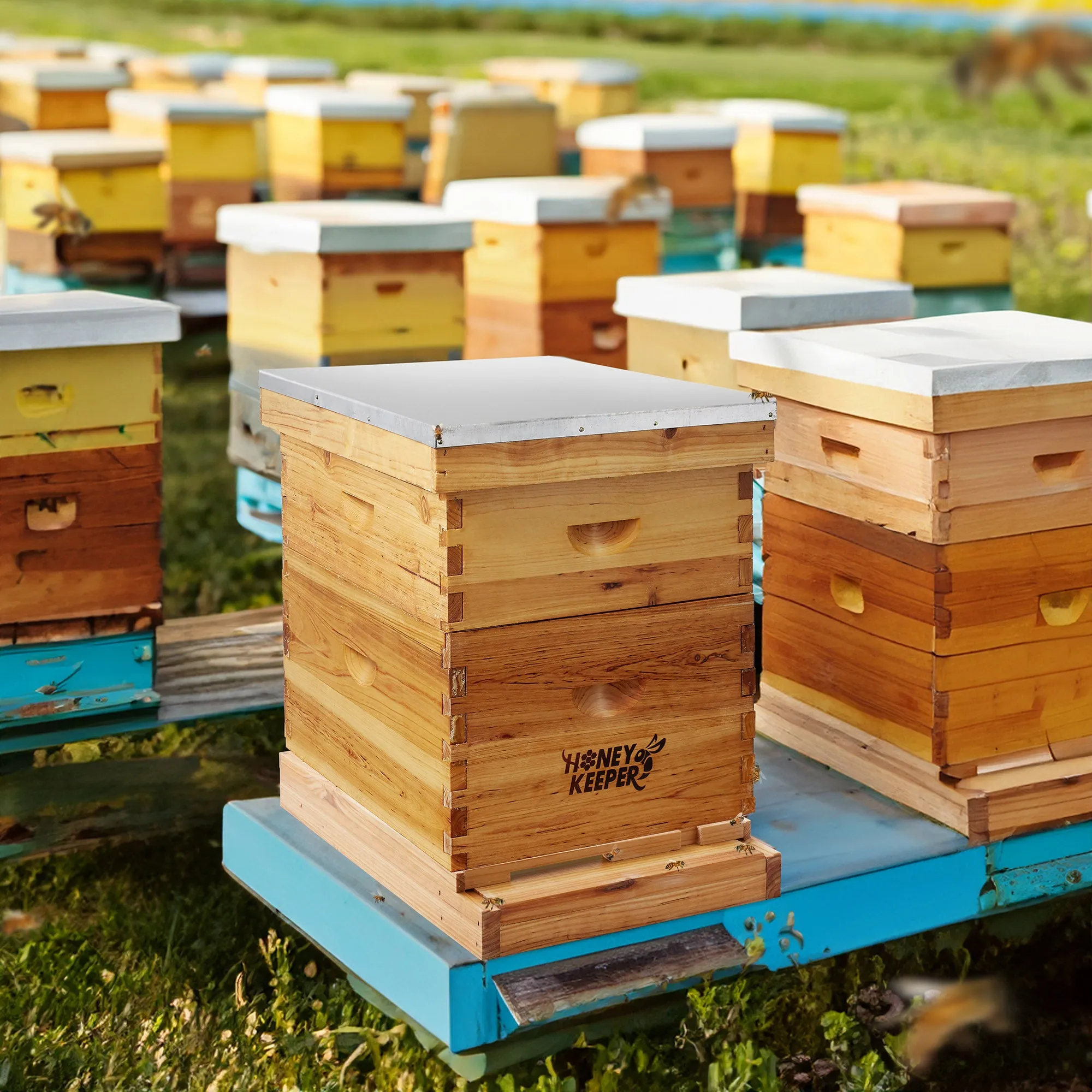 Beehive Screened Bottom Board Dipped in 100% Beeswax