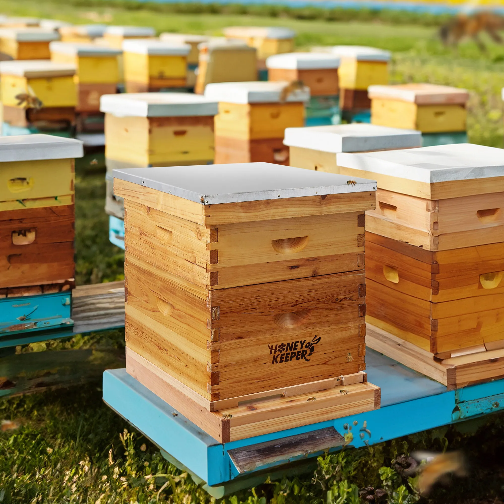 Beehive Screened Bottom Board Dipped in 100% Beeswax