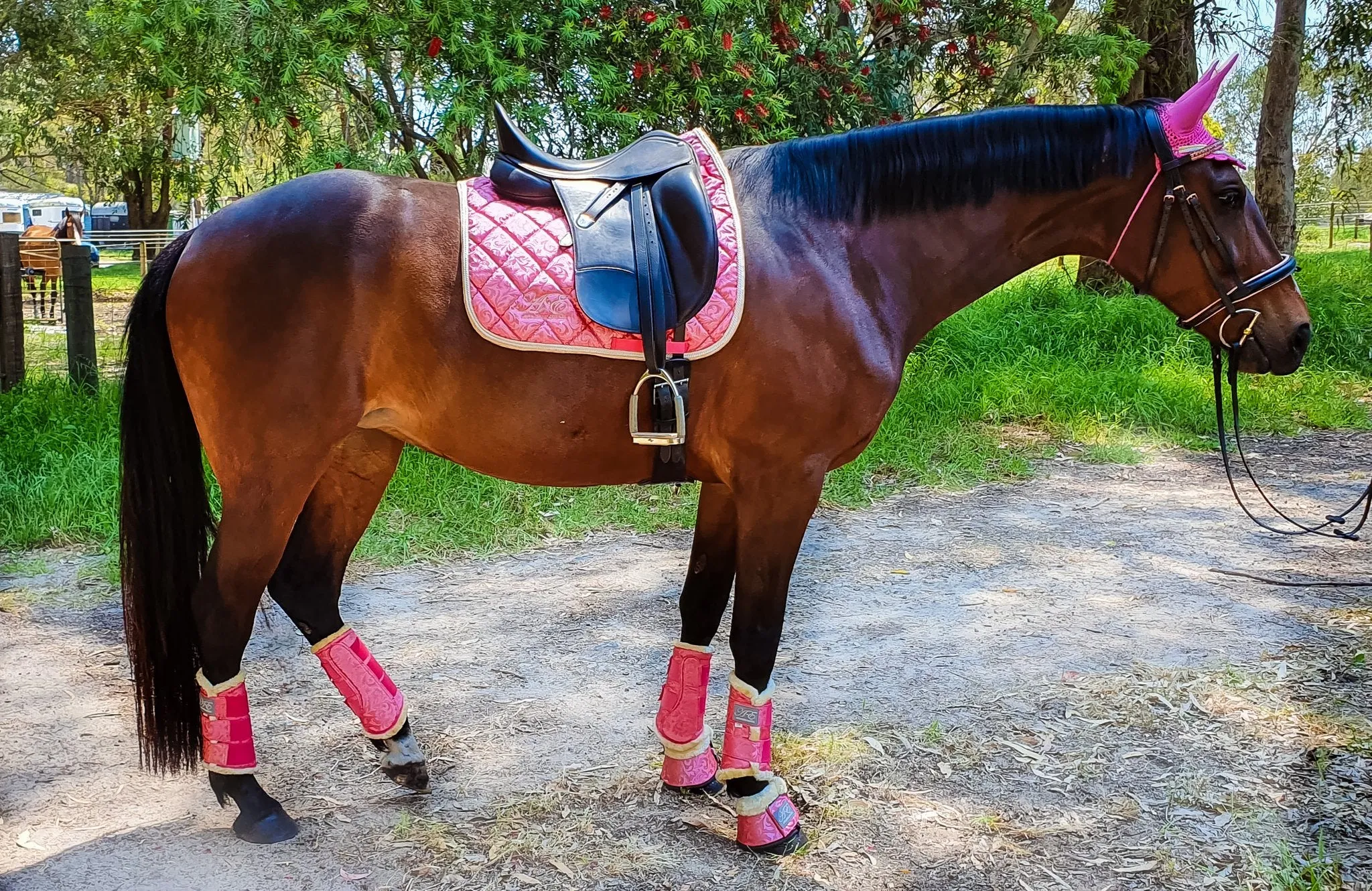 Coral Reef Bell Boots