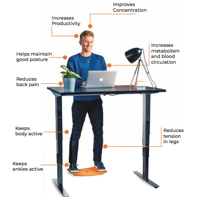 Gymba Balance and Exercise Board