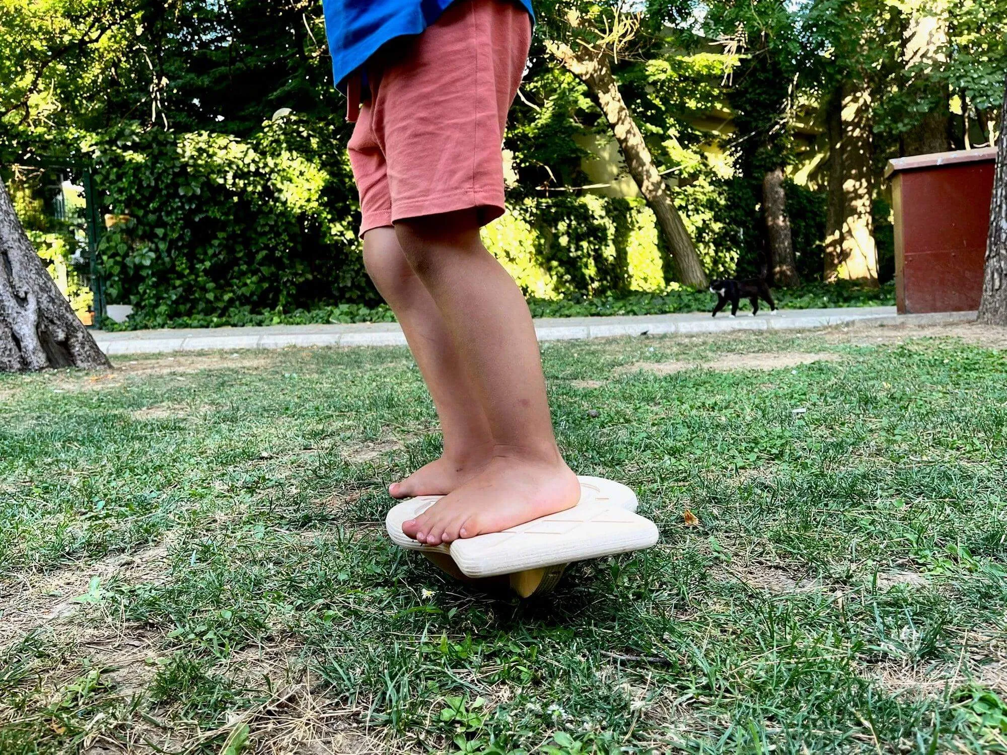 Maze Wooden Balance Board