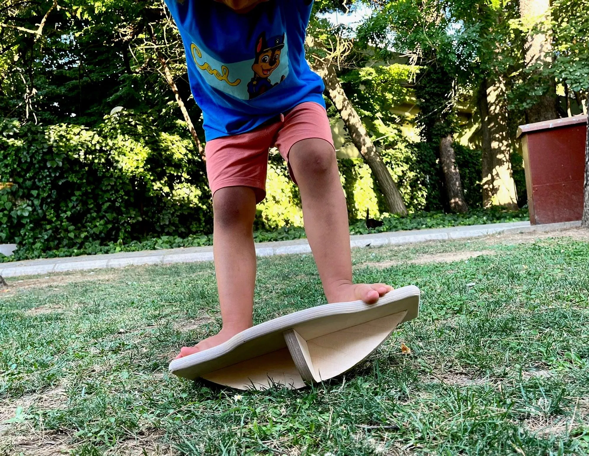 Maze Wooden Balance Board