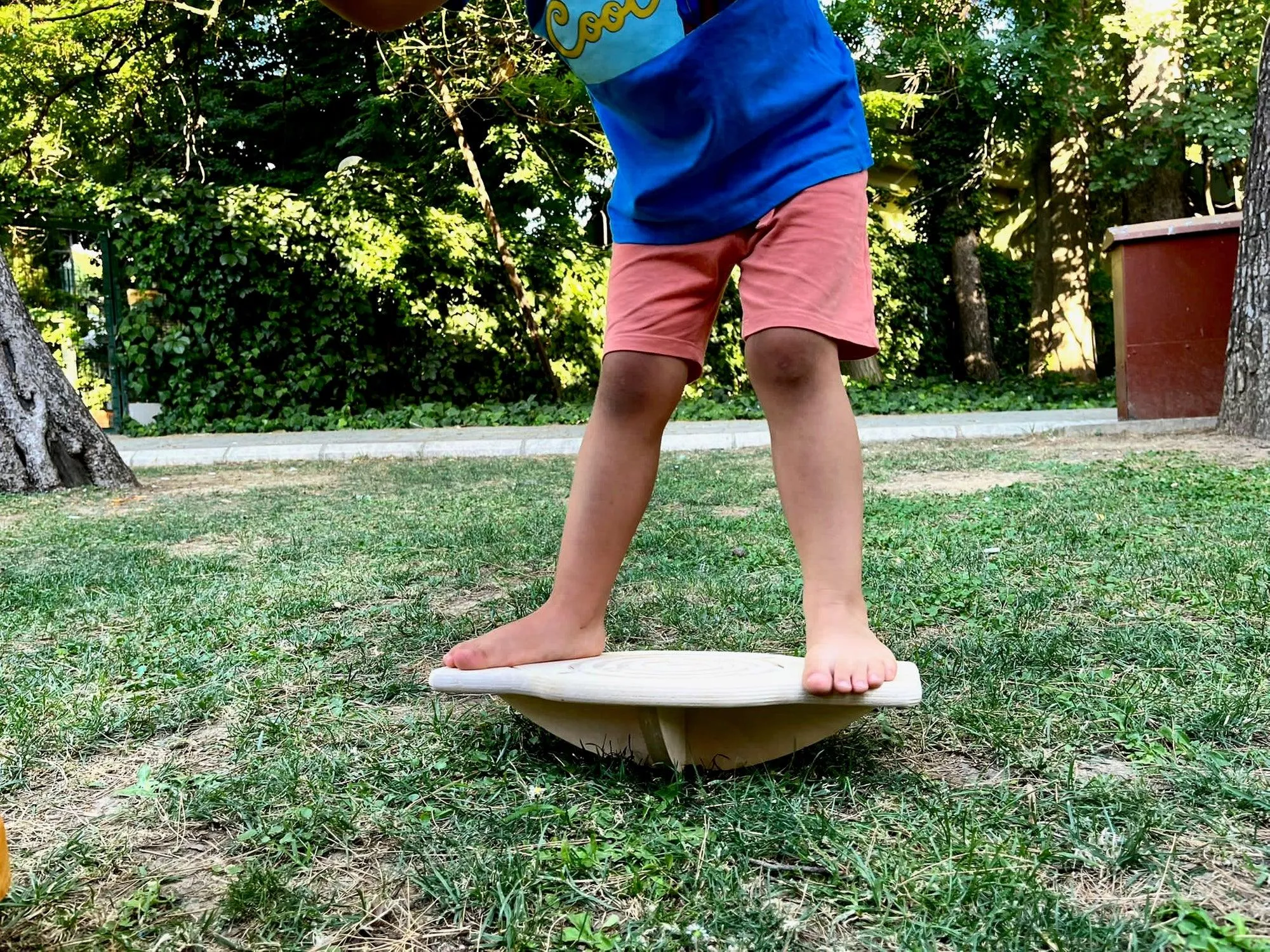 Maze Wooden Balance Board