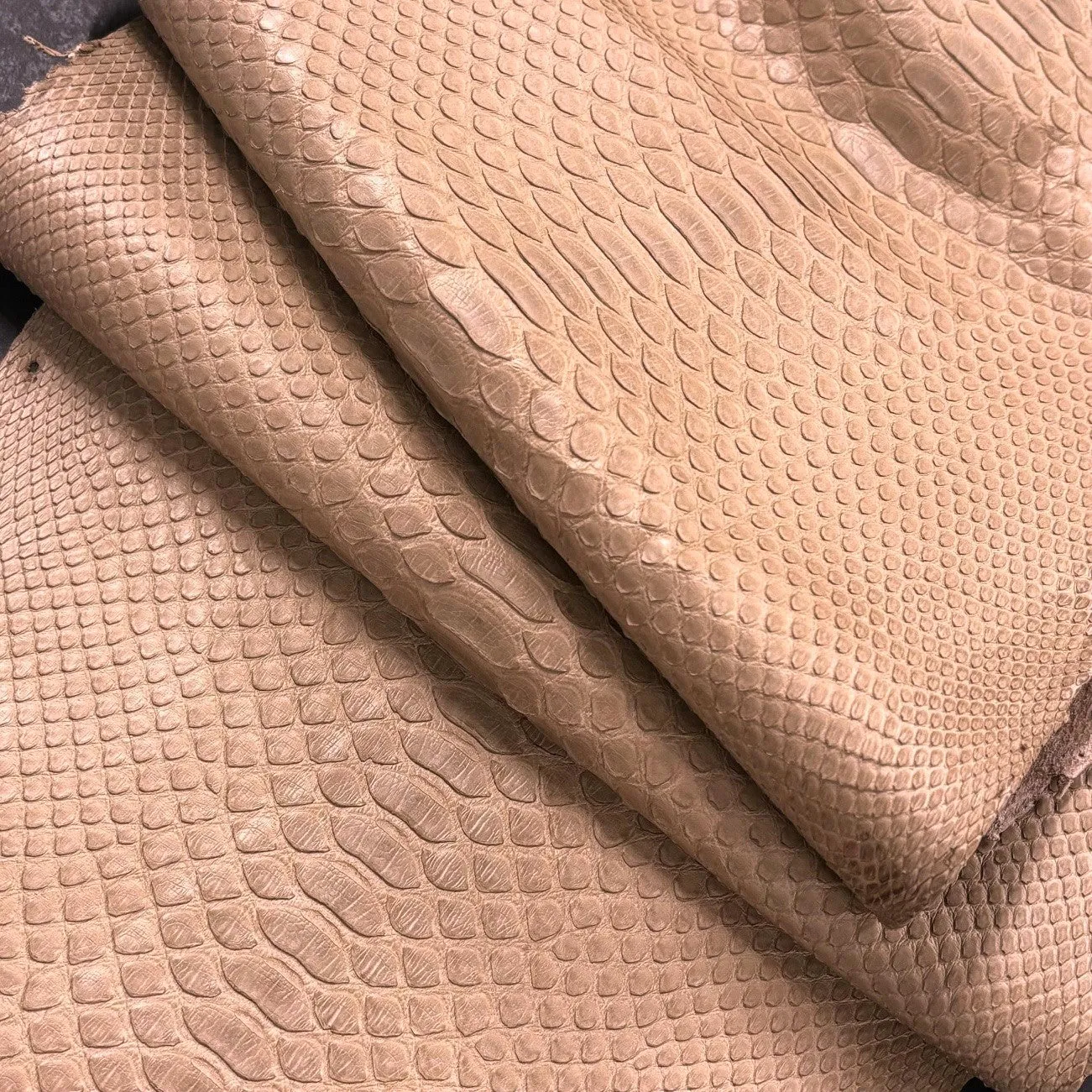 Python Matte | Taupe | Back Cut | 1.40 meters